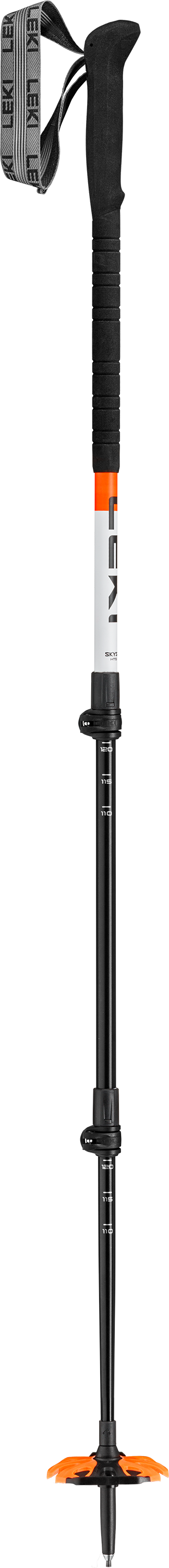 Leki Skysolo